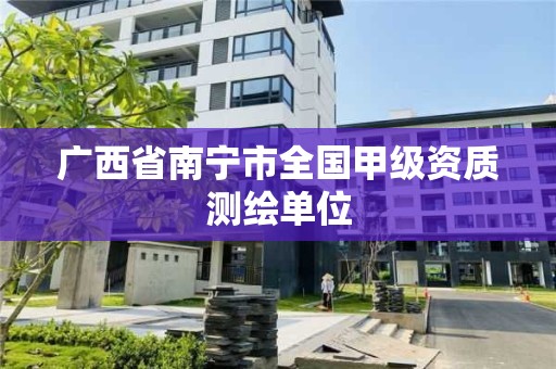 广西省南宁市全国甲级资质测绘单位