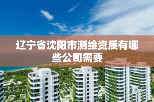 辽宁省沈阳市测绘资质有哪些公司需要