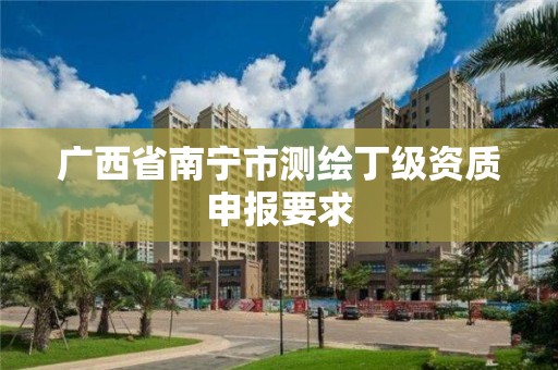 广西省南宁市测绘丁级资质申报要求