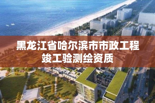 黑龙江省哈尔滨市市政工程竣工验测绘资质