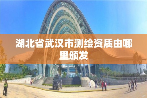 湖北省武汉市测绘资质由哪里颁发