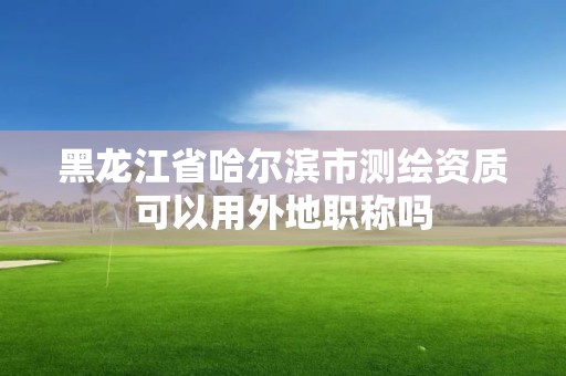 黑龙江省哈尔滨市测绘资质可以用外地职称吗