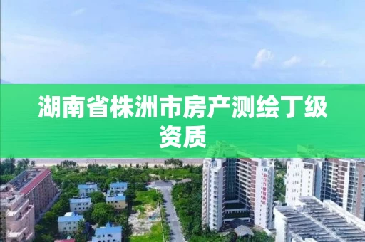 湖南省株洲市房产测绘丁级资质 湖南省株洲市房产测绘丁级资质