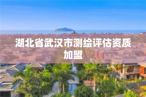 湖北省武汉市测绘评估资质加盟