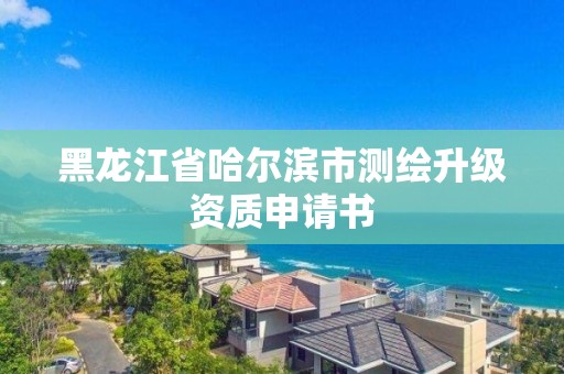 黑龙江省哈尔滨市测绘升级资质申请书