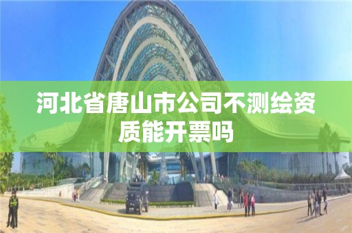 河北省唐山市公司不测绘资质能开票吗