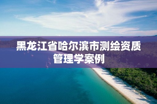 黑龙江省哈尔滨市测绘资质管理学案例