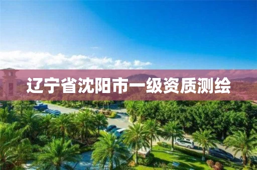 辽宁省沈阳市一级资质测绘 辽宁省沈阳市一级资质测绘