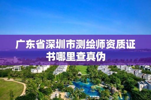 广东省深圳市测绘师资质证书哪里查真伪