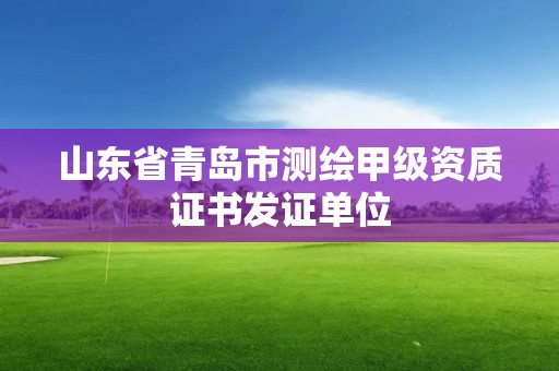 山东省青岛市测绘甲级资质证书发证单位