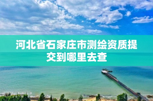 河北省石家庄市测绘资质提交到哪里去查