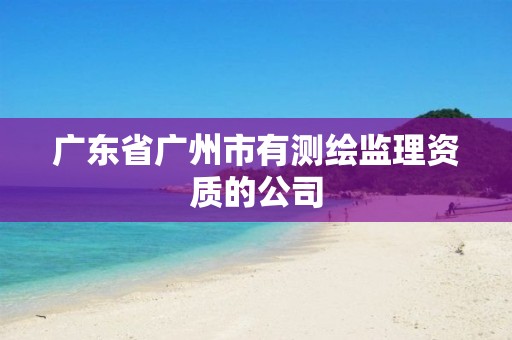 广东省广州市有测绘监理资质的公司