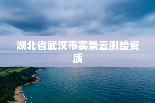 湖北省武汉市实景云测绘资质