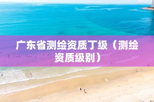 广东省测绘资质丁级（测绘资质级别）