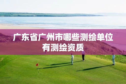 广东省广州市哪些测绘单位有测绘资质 广东省广州市哪些测绘单位有测绘资质
