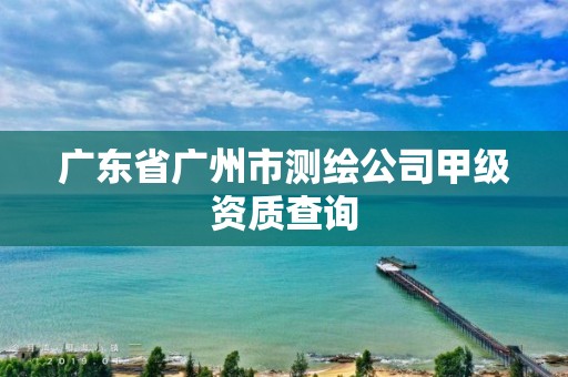 广东省广州市测绘公司甲级资质查询