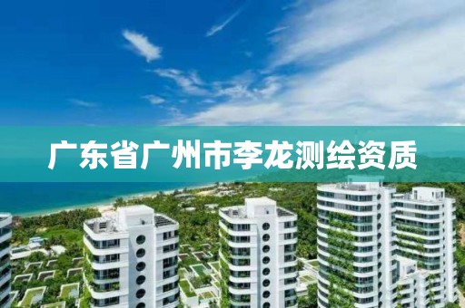 广东省广州市李龙测绘资质