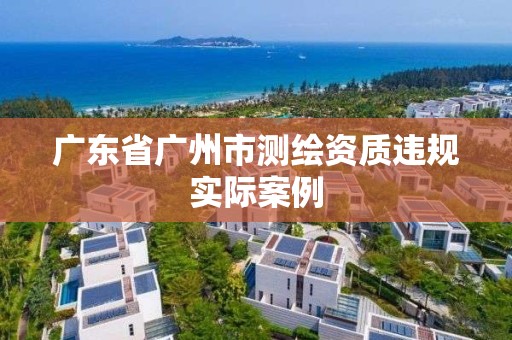 广东省广州市测绘资质违规实际案例