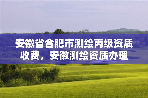 安徽省合肥市测绘丙级资质收费，安徽测绘资质办理