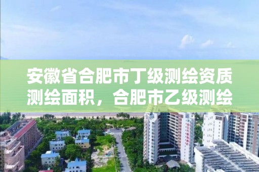 安徽省合肥市丁级测绘资质测绘面积，合肥市乙级测绘公司