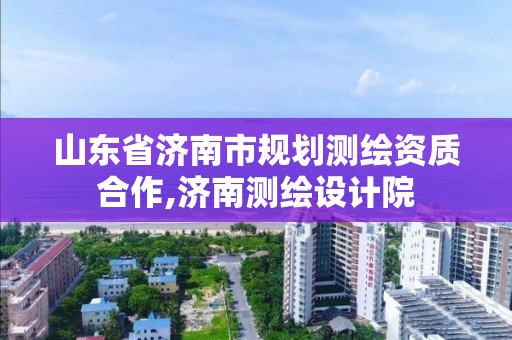 山东省济南市规划测绘资质合作,济南测绘设计院