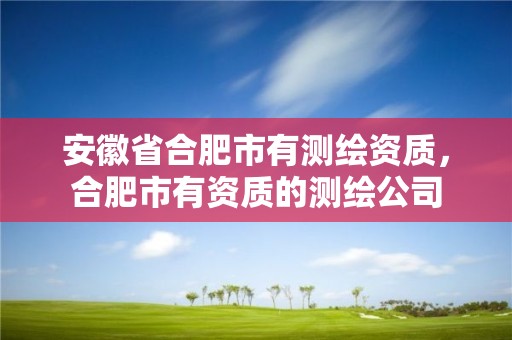 安徽省合肥市有测绘资质，合肥市有资质的测绘公司