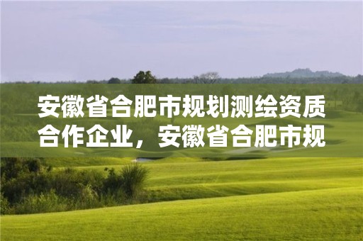 安徽省合肥市规划测绘资质合作企业，安徽省合肥市规划测绘资质合作企业名单