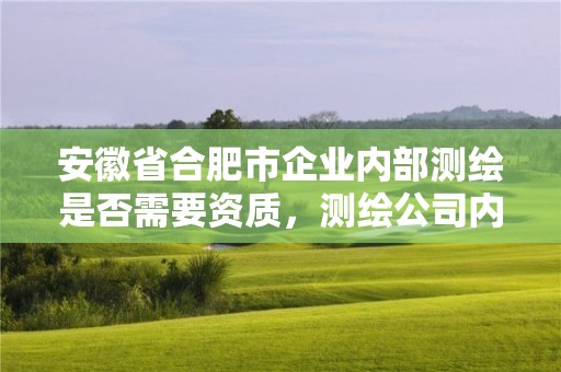 安徽省合肥市企业内部测绘是否需要资质，测绘公司内设机构一般有哪些