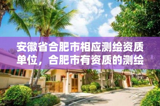 安徽省合肥市相应测绘资质单位，合肥市有资质的测绘公司