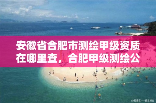 安徽省合肥市测绘甲级资质在哪里查，合肥甲级测绘公司