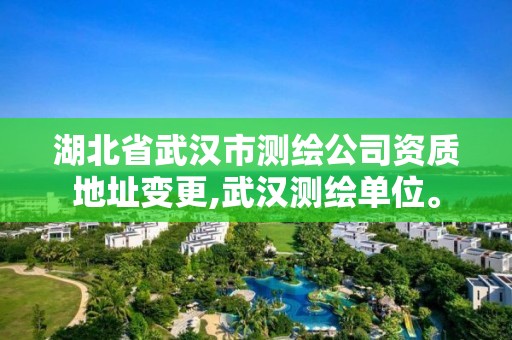 湖北省武汉市测绘公司资质地址变更,武汉测绘单位。