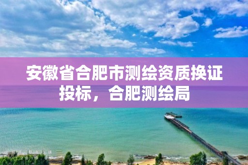 安徽省合肥市测绘资质换证投标，合肥测绘局