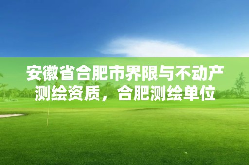 安徽省合肥市界限与不动产测绘资质，合肥测绘单位