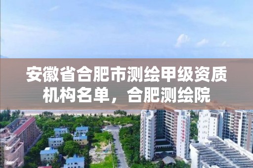 安徽省合肥市测绘甲级资质机构名单，合肥测绘院