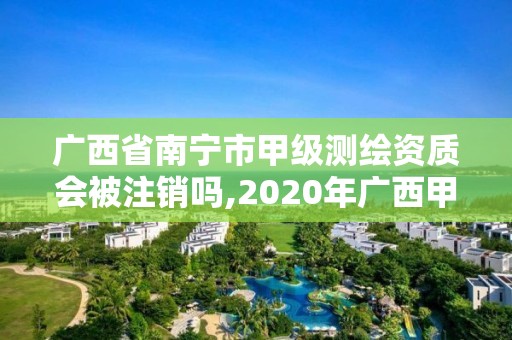 广西省南宁市甲级测绘资质会被注销吗,2020年广西甲级测绘资质单位