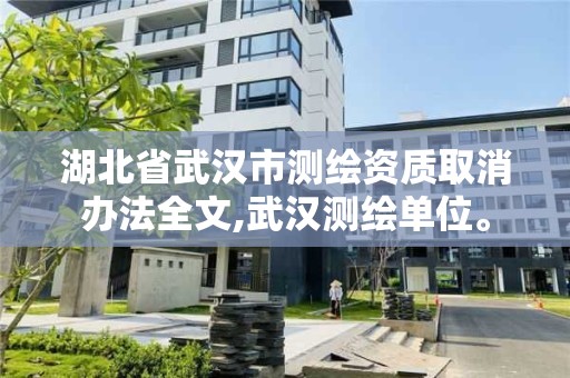 湖北省武汉市测绘资质取消办法全文,武汉测绘单位。