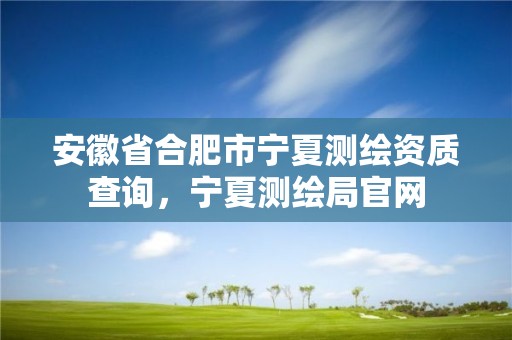 安徽省合肥市宁夏测绘资质查询，宁夏测绘局官网