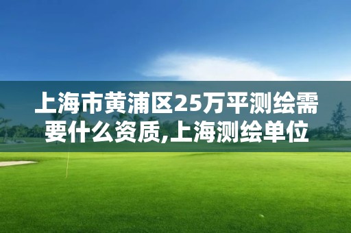 上海市黄浦区25万平测绘需要什么资质,上海测绘单位。