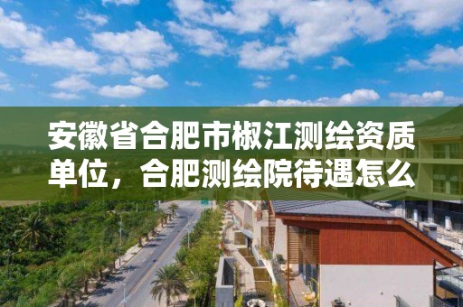 安徽省合肥市椒江测绘资质单位，合肥测绘院待遇怎么样