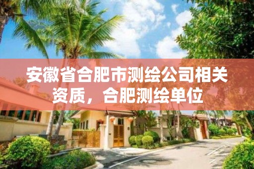 安徽省合肥市测绘公司相关资质，合肥测绘单位