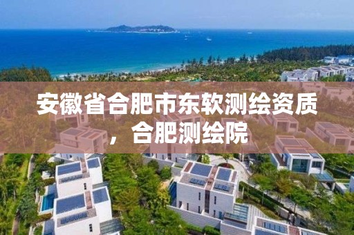 安徽省合肥市东软测绘资质，合肥测绘院