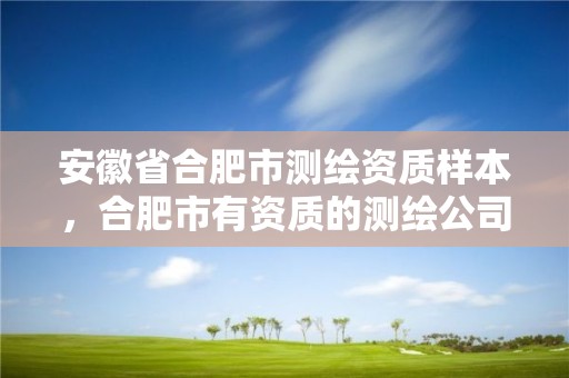 安徽省合肥市测绘资质样本，合肥市有资质的测绘公司