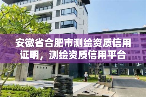 安徽省合肥市测绘资质信用证明，测绘资质信用平台