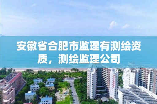 安徽省合肥市监理有测绘资质，测绘监理公司