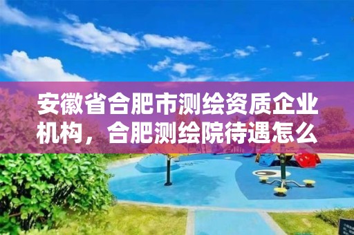 安徽省合肥市测绘资质企业机构，合肥测绘院待遇怎么样