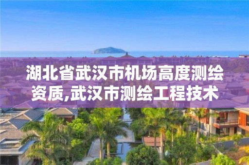 湖北省武汉市机场高度测绘资质,武汉市测绘工程技术规定