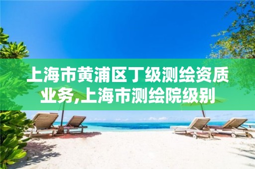 上海市黄浦区丁级测绘资质业务,上海市测绘院级别