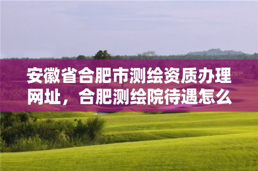 安徽省合肥市测绘资质办理网址，合肥测绘院待遇怎么样