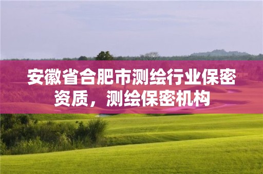 安徽省合肥市测绘行业保密资质，测绘保密机构