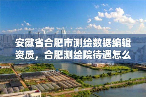 安徽省合肥市测绘数据编辑资质，合肥测绘院待遇怎么样